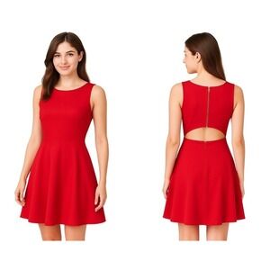 Lulus Dress Small Red Fit Flare Mini Boat Neck Cut‎ Out Stretch Sleeveless Chic
